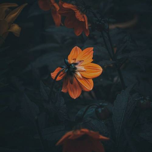  مهم نیست چقدر داشتیم زیانه سالی فقط جلو کسی نبینم من لیوان خالی